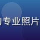 日韩久久资深影视编辑陈晓雅的专业照片，女性，知性干练，背景为书架